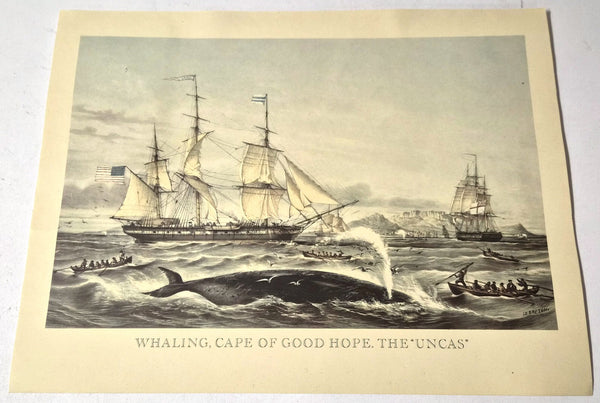 Vintage Print 'Whaling, Cape of Good Hope. The Uncas', jaren 50