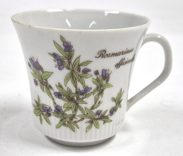 Vintage Kronester Bavaria porseleinen theekopje met rozemarijn (Rosmarinus officinalis)