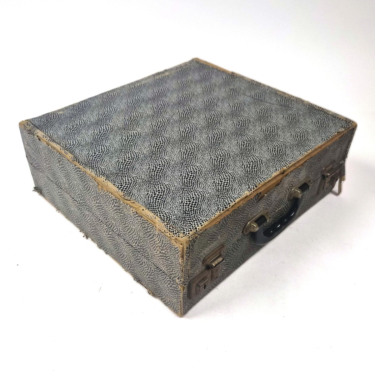 Vintage platenkoffer met slangenprint en harmonicavakken voor 24 LP's