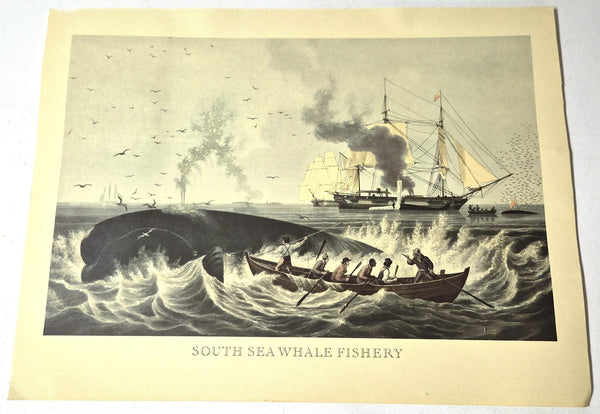 Vintage Print 'South Sea Whale Fishery' met walvisvaart, jaren 50