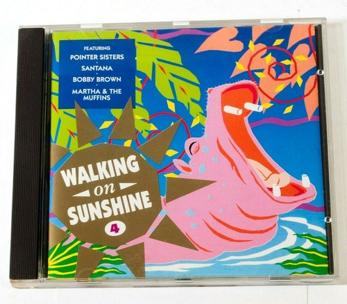 Various – Walking On Sunshine 4