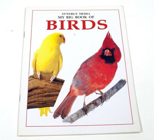 My Big Book of Birds – Synergy Media (Engelstalig prentenboek)