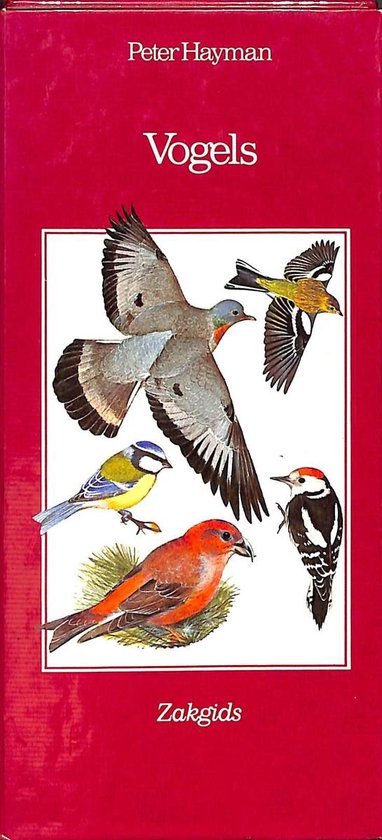 Zakgids Vogels - Peter Hayman, Rob Hume