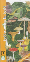 In beeld 3 - Paddestoelen in beeld - F. Bos