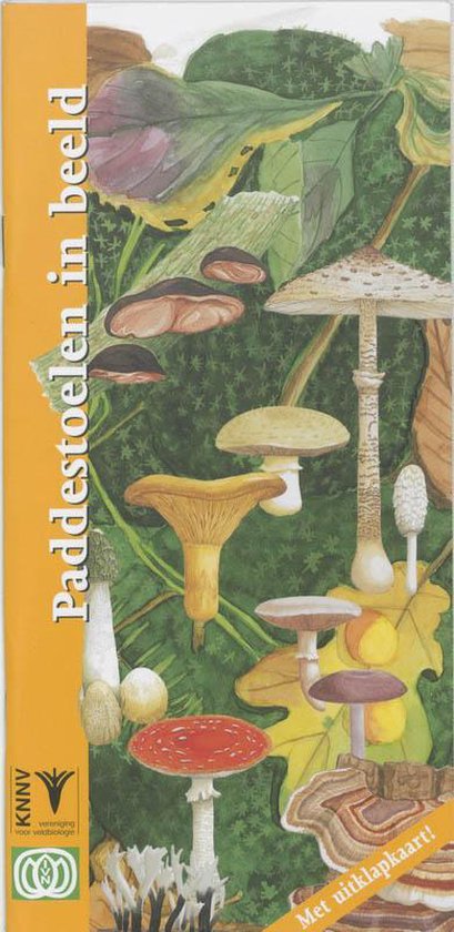 In beeld 3 - Paddestoelen in beeld - F. Bos