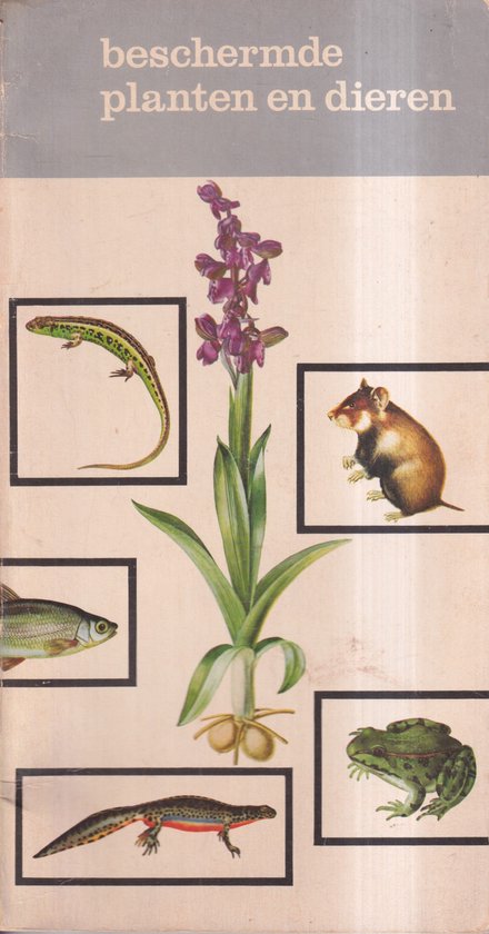 Beschermde planten en dieren - ing. H.J.W. Schimmel