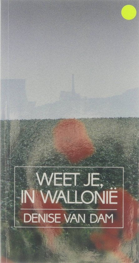 Weet je, in WalloniÃ« - D. van Dam