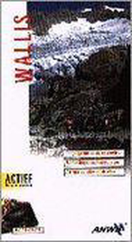 WALLIS AA - Johan Eimers, Maarten Mandos