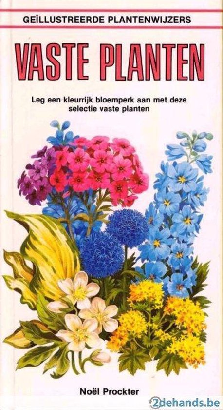 Vaste planten - Prockter