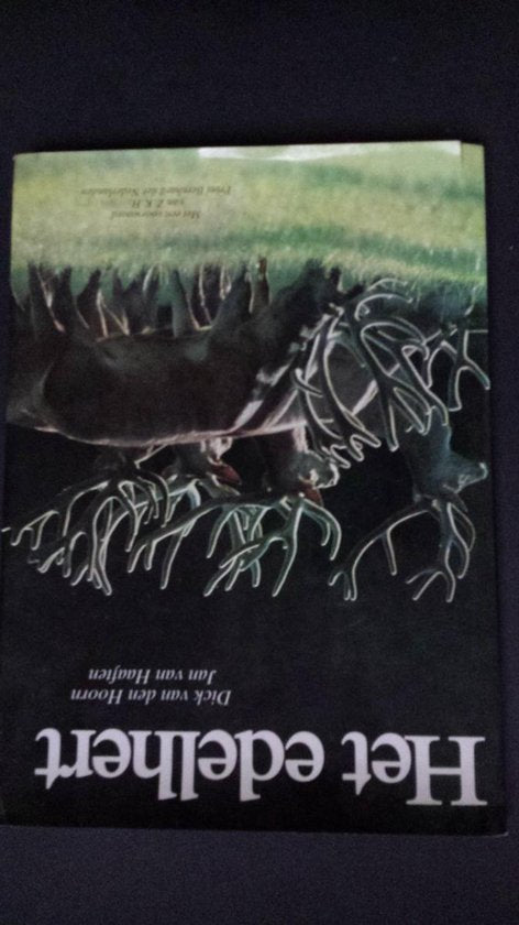 Edelhert - Hoorn