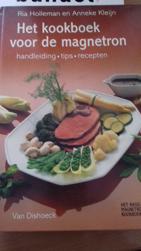 Basiskookboek voor de magnetron - Ria Holleman, Anneke Kleijn