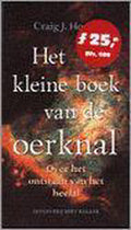 Kleine Boek Van De Oerknal - Hogan