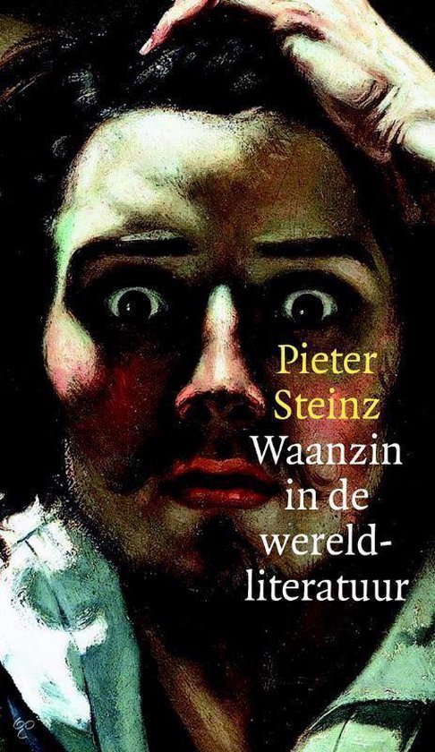 Waanzin in de wereldliteratuur - Steinz, geen