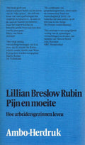 Pijn en moeite. Hoe arbeidersgezinnen leven. - Lillian B. Rubin