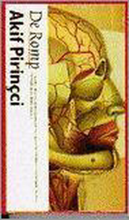De romp - Akif Pirinçci