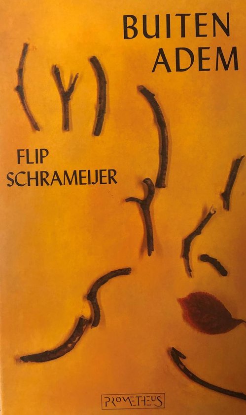 Buiten adem - Flip Schrameijer
