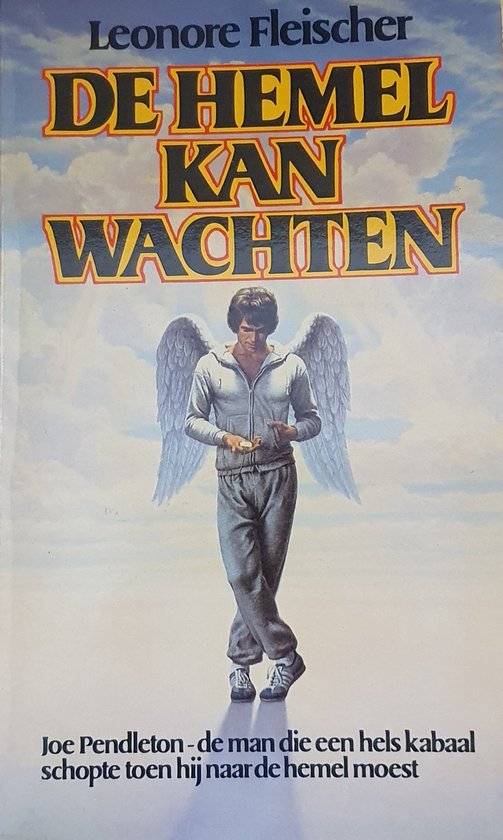 Hemel kan wachten - Fleischer, Elaine May