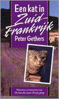 Kat in zuid - frankrijk - Gethers