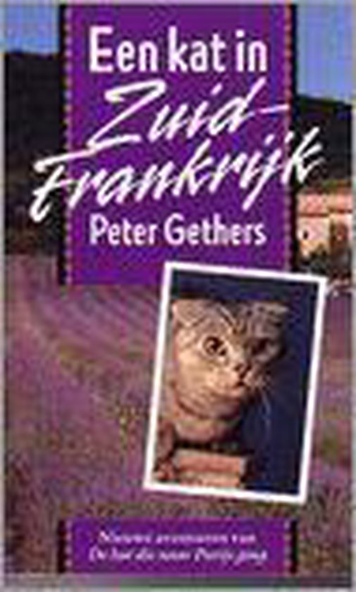 Kat in zuid - frankrijk - Gethers