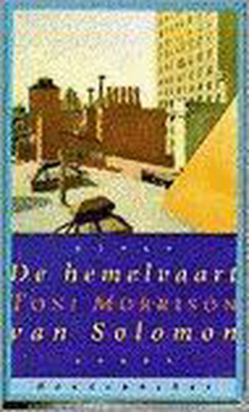 De hemelvaart van Solomon - Morrison, Piet Verhagen