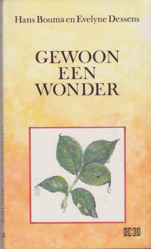 Gewoon Een Wonder - Hans Bouma, Evelyne Dessens