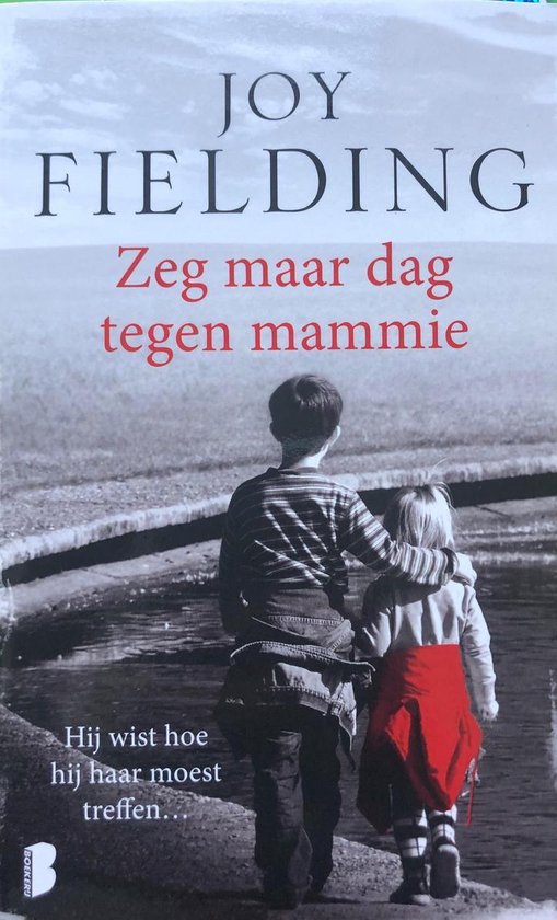 Zeg maar dag tegen mammie - Joy Fielding