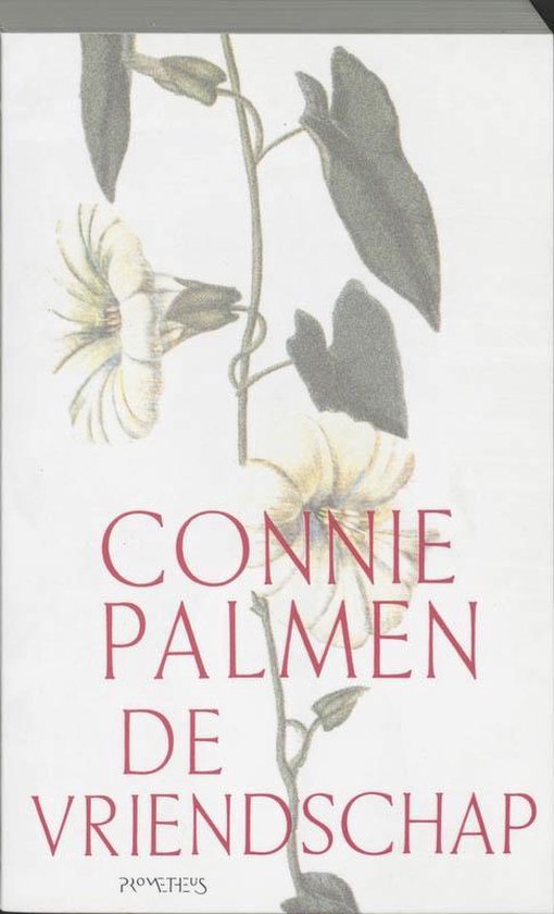 De vriendschap - Connie Palmen, geen