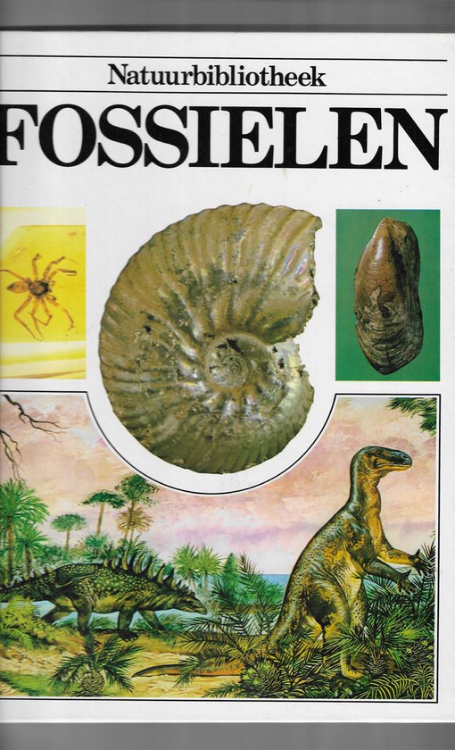 Fossielen - Moody