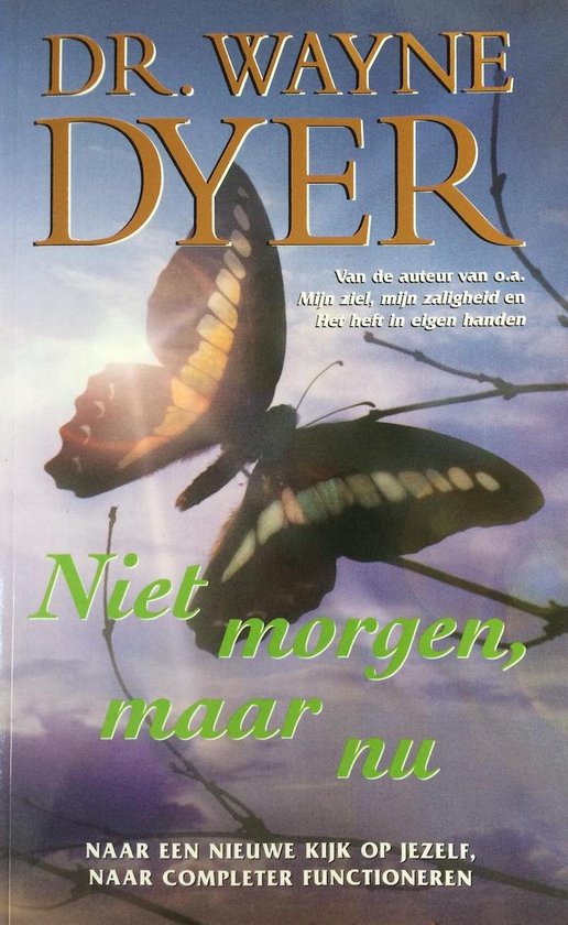 Niet morgen, maar nu - Wayne Dyer