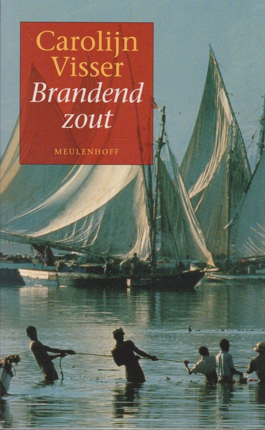 Brandend Zout - Carolijn Visser