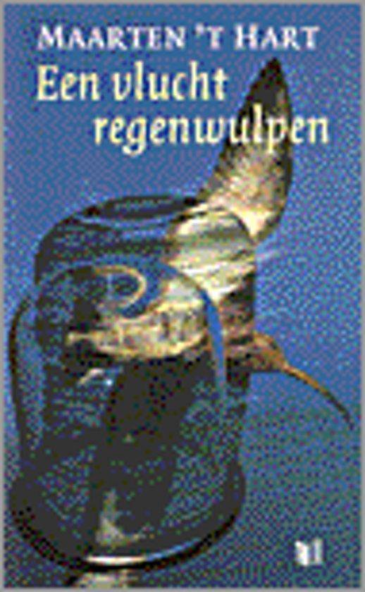 Vlucht Regenwulpen - Hella S. Haasse