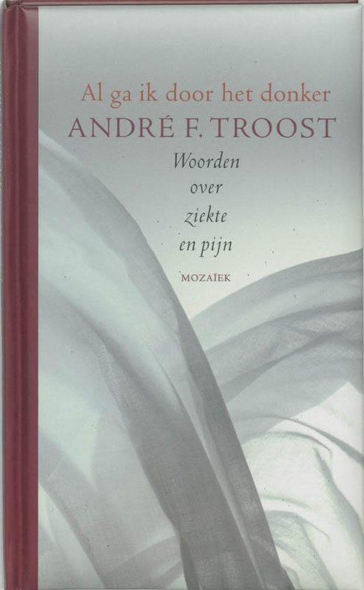 Al Ga Ik Door Het Donker - André F. Troost, A.F. Troost