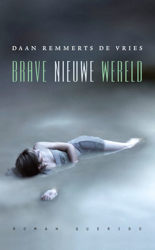 Brave nieuwe wereld - Daan Remmerts de Vries