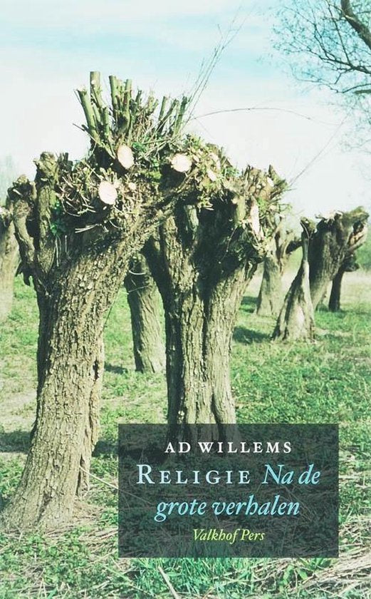 Religie na de grote verhalen - A. Willems