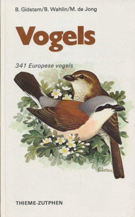 Vogels - Gidstam