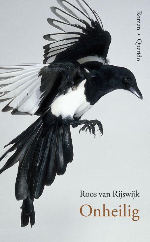Onheilig - Roos van Rijswijk