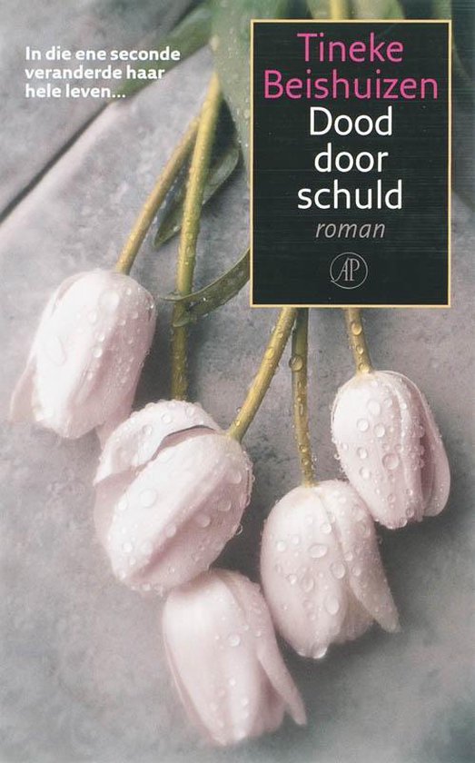 Dood Door Schuld - T. Beishuizen