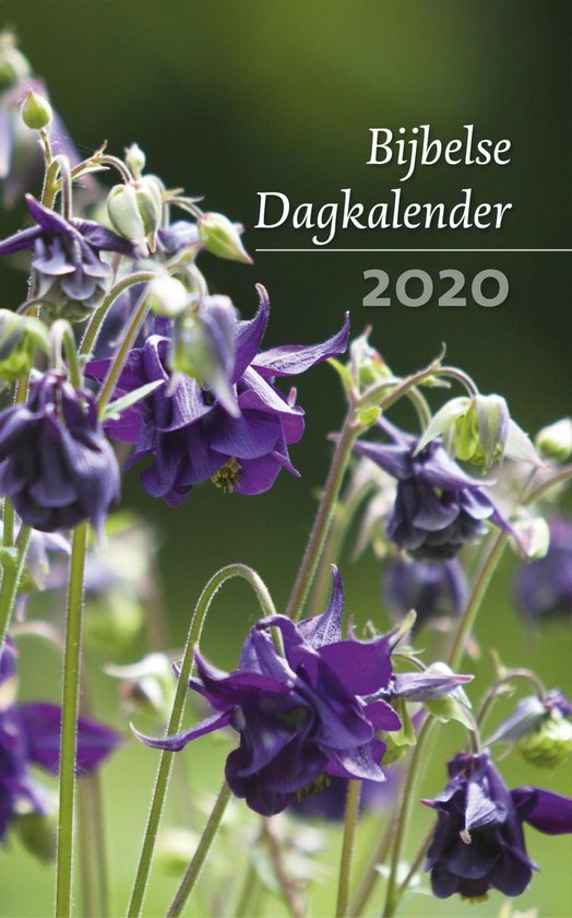 Bijbelse dagkalender 2020 - Diverse auteurs