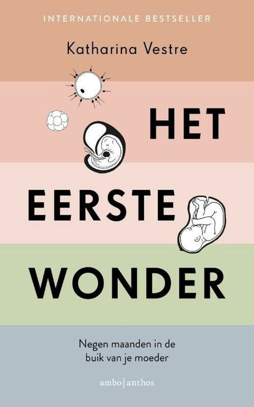 Het eerste wonder - Katharina Vestre