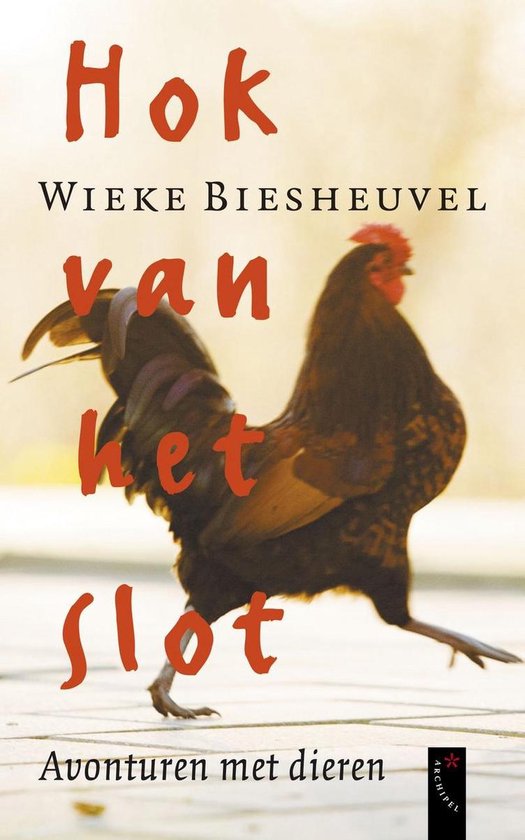 Hok Van Het Slot - Wieke Biesheuvel
