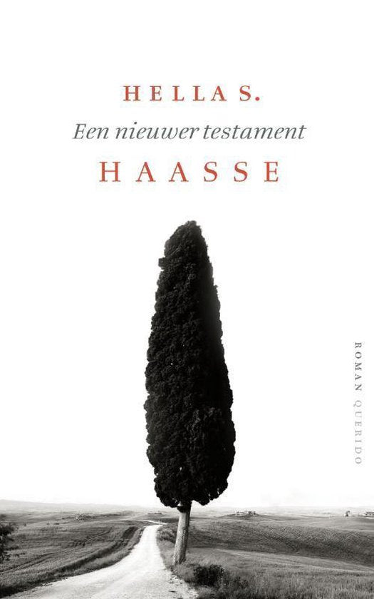 Een nieuwer testament - Hella S. Haasse, Hella Haasse