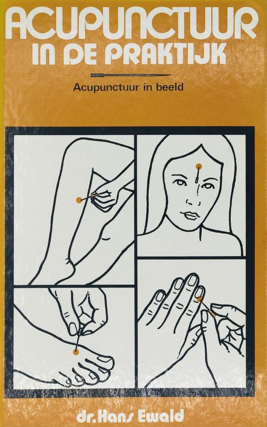 Acupunctuur in de praktijk - Hans Ewald, Ilse Dorren