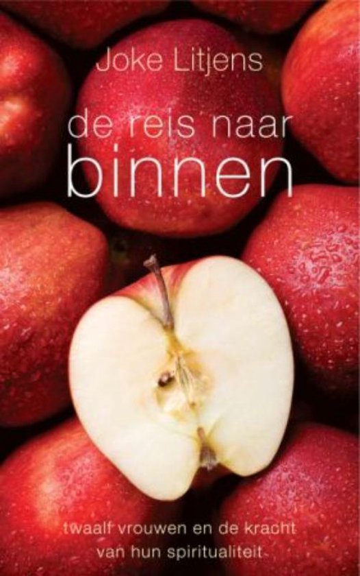 De reis naar binnen - Joke Litjens