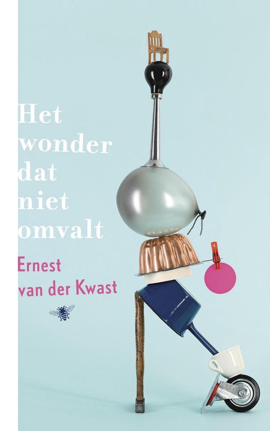 Het wonder dat niet omvalt - Ernest van der Kwast
