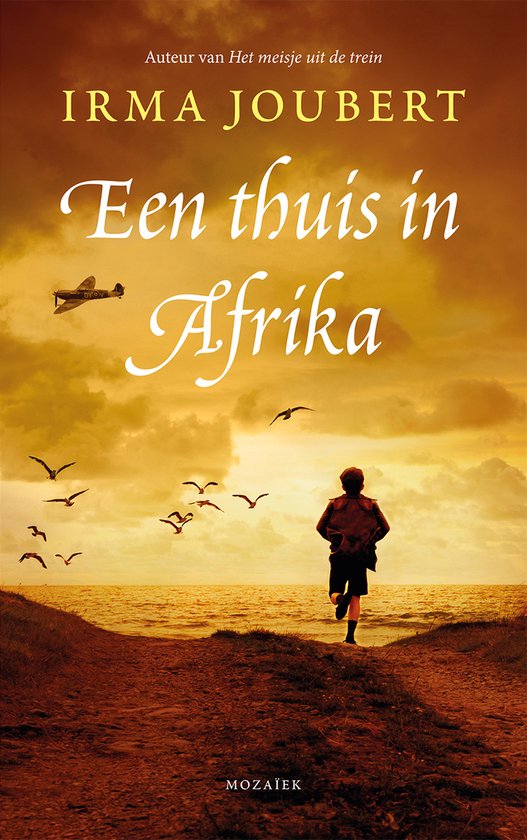 Onderweg naar Zuid - Afrika 3 - Een thuis in Afrika - Irma Joubert