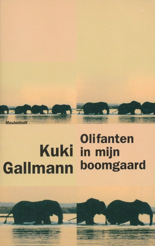 Olifanten in mijn boomgaard - K. Gallmann