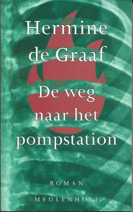 Weg naar het pompstation - D Graaf