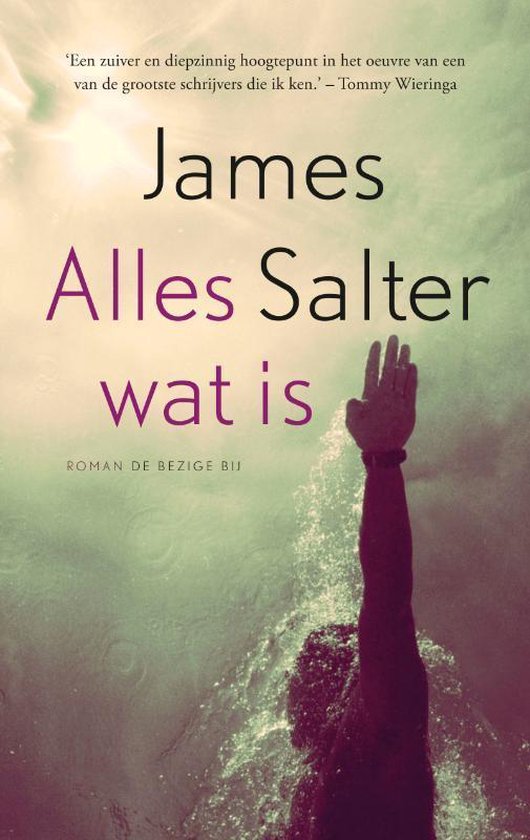 Alles wat is - James Salter