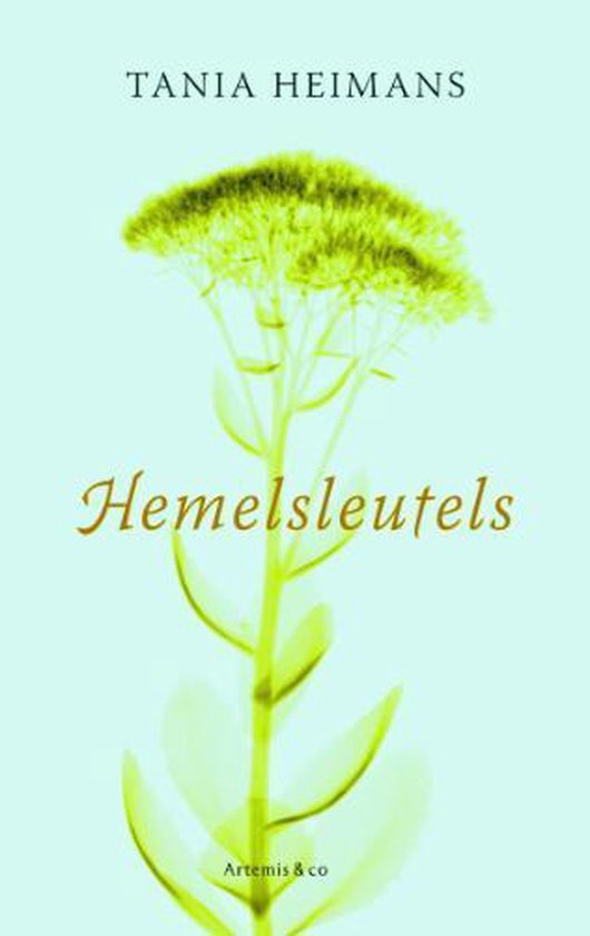 Hemelsleutels - Tania Heimans