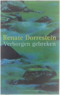 Verborgen Gebreken Ing - Bernlef